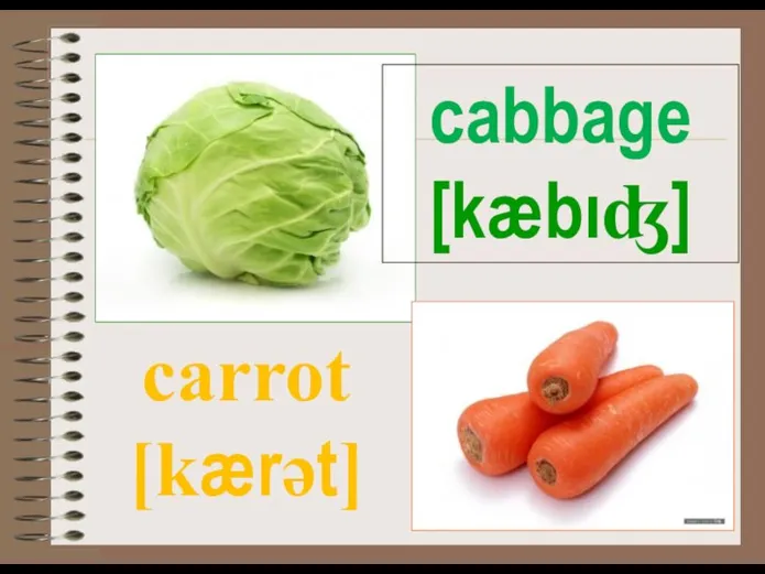 cabbage [kæbıʤ] carrot [kærәt]