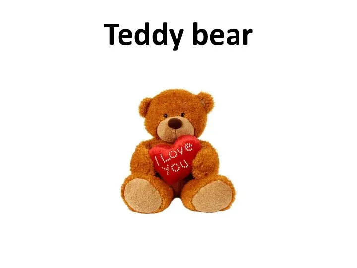 Teddy bear