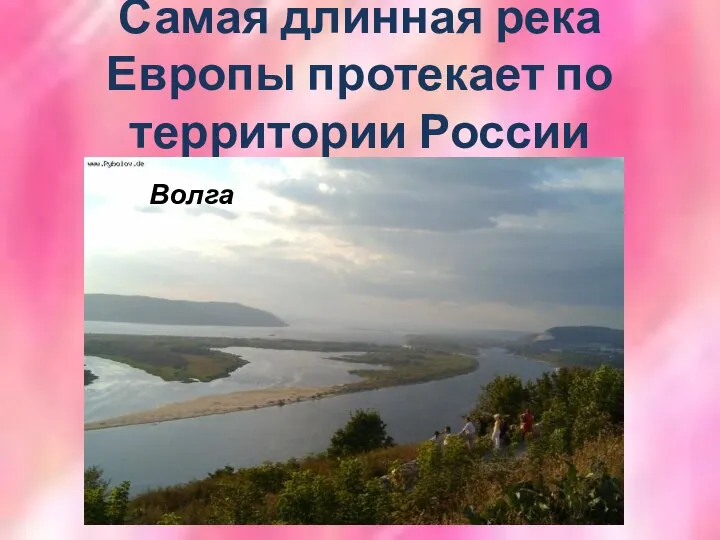 Самая длинная река Европы протекает по территории России Волга