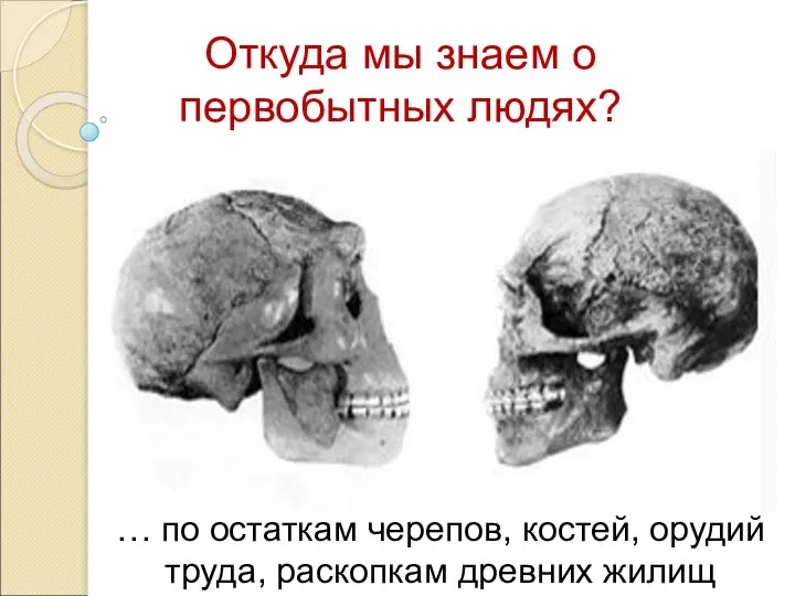 Откуда мы знаем о первобытных людях? … по остаткам черепов, костей, орудий труда, раскопкам древних жилищ