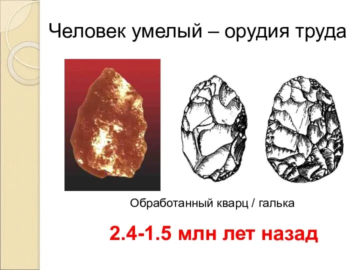 Человек умелый – орудия труда 2.4-1.5 млн лет назад Обработанный кварц / галька