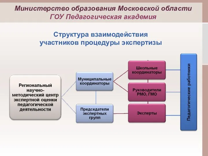 Структура взаимодействия участников процедуры экспертизы