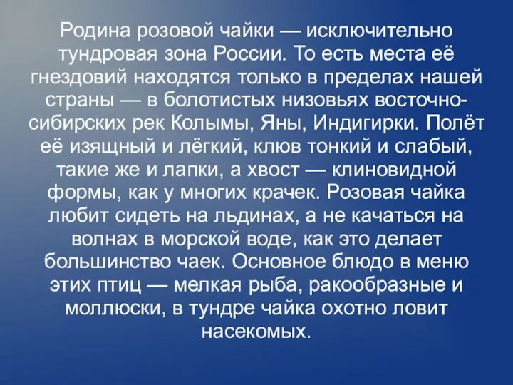 Родина розовой чайки — исключительно тундровая зона России. То есть места