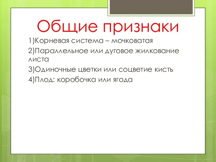 Общие признаки 1)Корневая система – мочковатая 2)Параллельное или дуговое жилкование листа