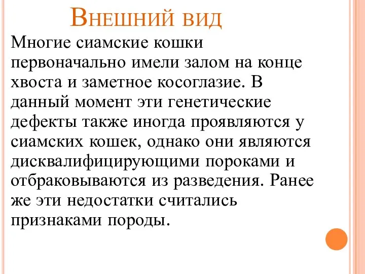 Внешний вид Многие сиамские кошки первоначально имели залом на конце хвоста