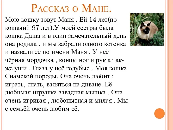 Рассказ о Мане. Мою кошку зовут Маня . Ей 14 лет(по