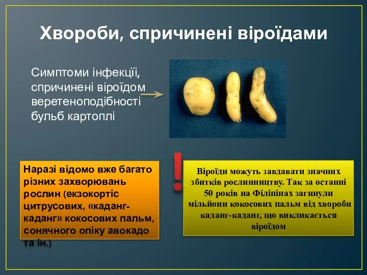 Хвороби, спричинені віроїдами Симптоми інфекцїі, спричинені віроїдом веретеноподібності бульб картоплі Наразі