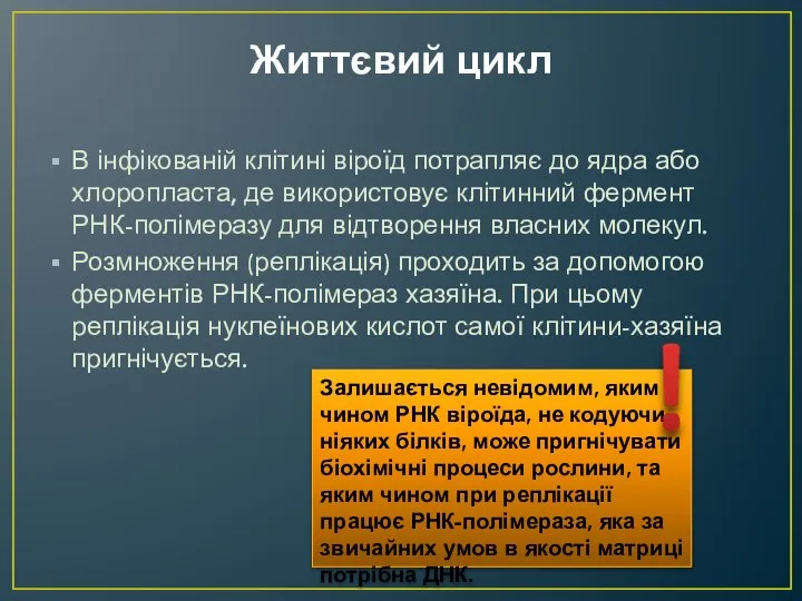 Життєвий цикл В інфікованій клітині віроїд потрапляє до ядра або хлоропласта,