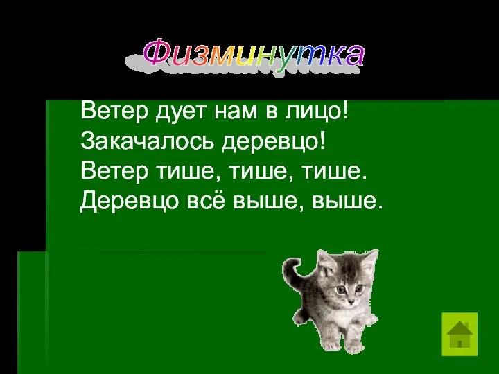 Физминутка Ветер дует нам в лицо! Закачалось деревцо! Ветер тише, тише, тише. Деревцо всё выше, выше.