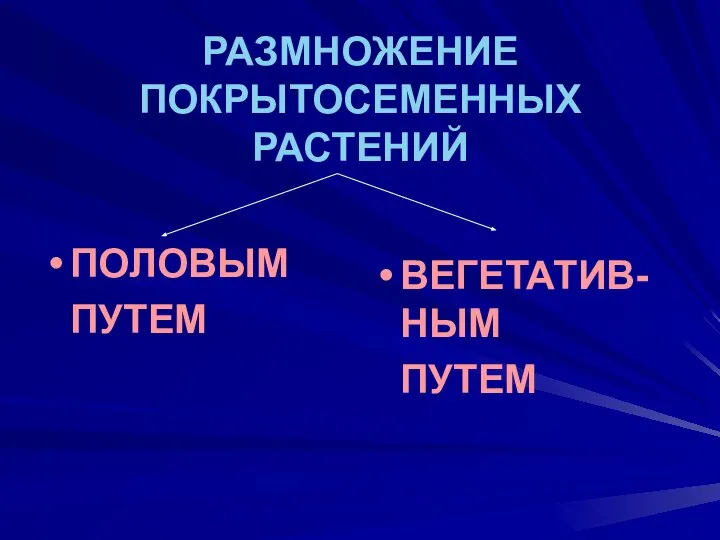 РАЗМНОЖЕНИЕ ПОКРЫТОСЕМЕННЫХ РАСТЕНИЙ ПОЛОВЫМ ПУТЕМ ВЕГЕТАТИВ-НЫМ ПУТЕМ