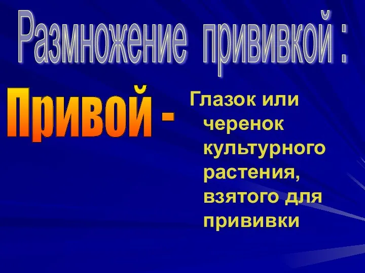 Глазок или черенок культурного растения, взятого для прививки Размножение прививкой : Привой -