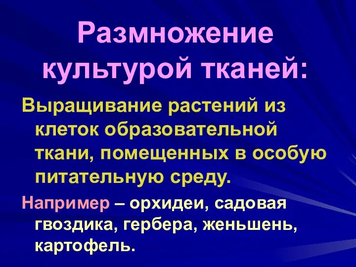 Размножение культурой тканей: Выращивание растений из клеток образовательной ткани, помещенных в