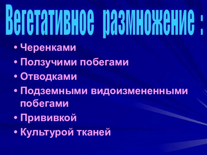 Черенками Ползучими побегами Отводками Подземными видоизмененными побегами Прививкой Культурой тканей Вегетативное размножение :