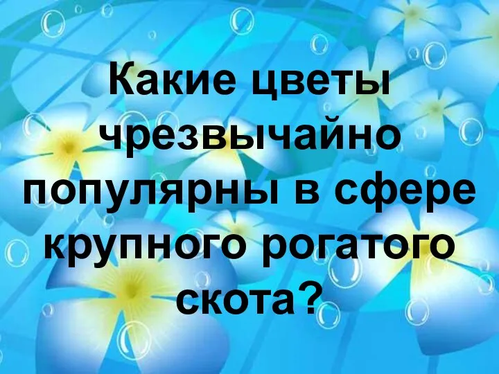 Какие цветы чрезвычайно популярны в сфере крупного рогатого скота?