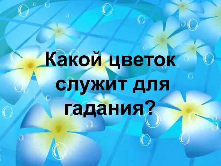 Какой цветок служит для гадания?