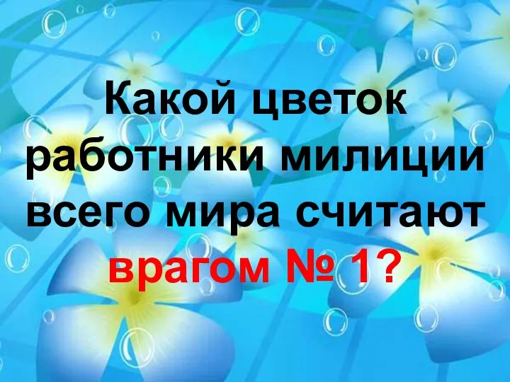 Какой цветок работники милиции всего мира считают врагом № 1?