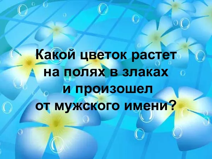 Какой цветок растет на полях в злаках и произошел от мужского имени?