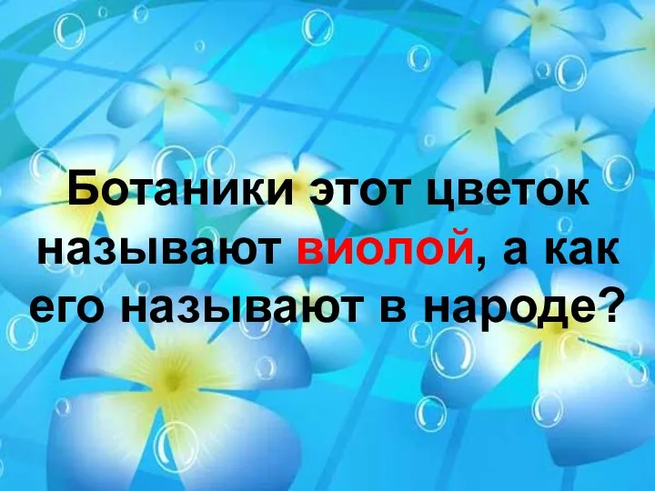 Ботаники этот цветок называют виолой, а как его называют в народе?