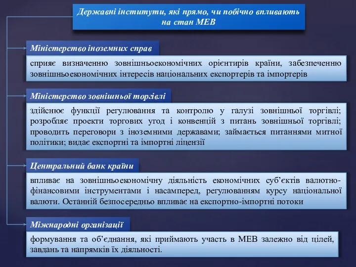 Державні інститути, які прямо, чи побічно впливають на стан МЕВ Міністерство