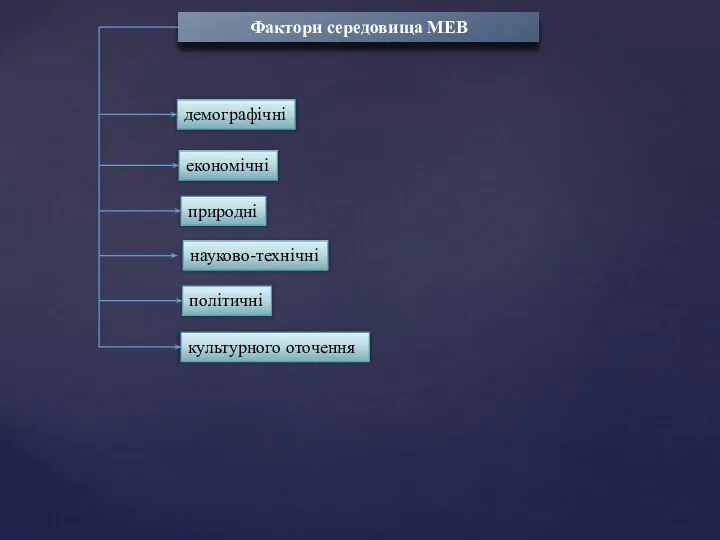 Фактори середовища МЕВ демографічні економічні природні науково-технічні політичні культурного оточення