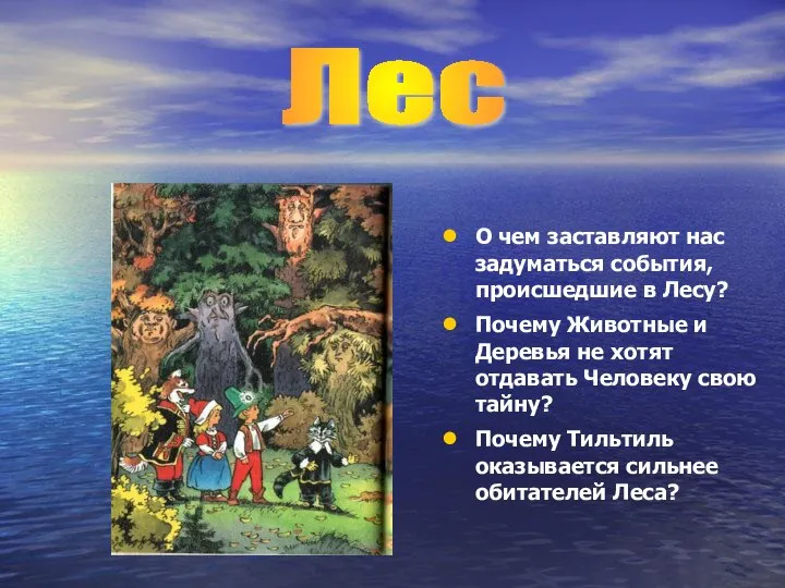 О чем заставляют нас задуматься события, происшедшие в Лесу? Почему Животные