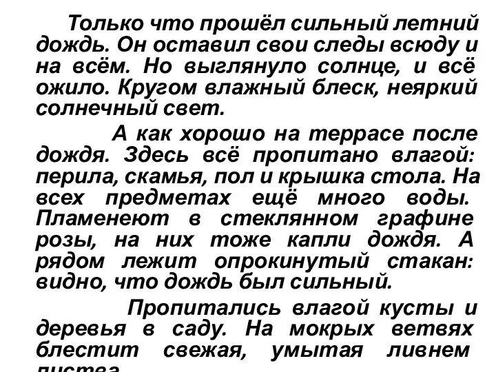 Только что прошёл сильный летний дождь. Он оставил свои следы всюду