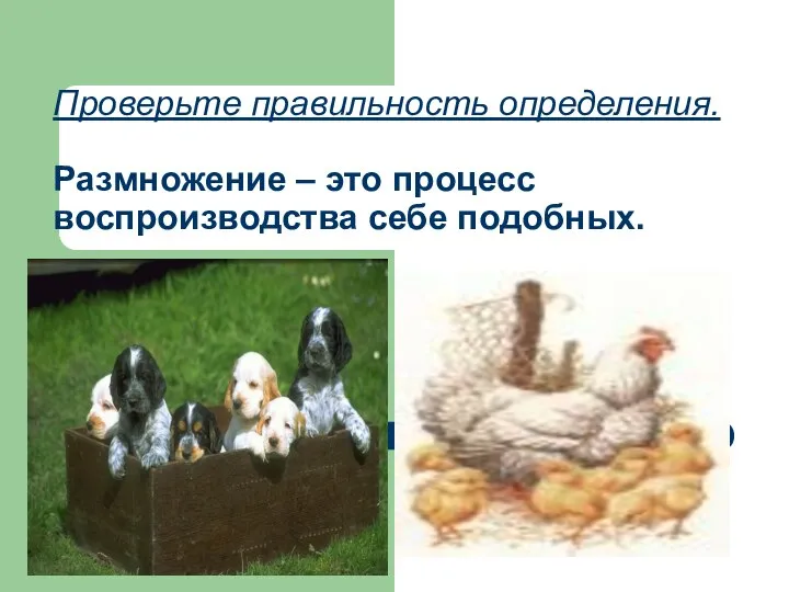 Проверьте правильность определения. Размножение – это процесс воспроизводства себе подобных.