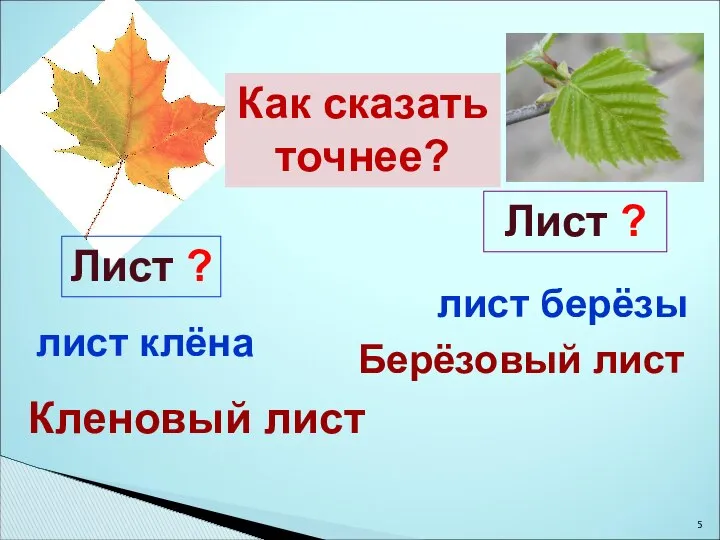 Лист ? Лист ? лист клёна лист берёзы Как сказать точнее? Кленовый лист Берёзовый лист