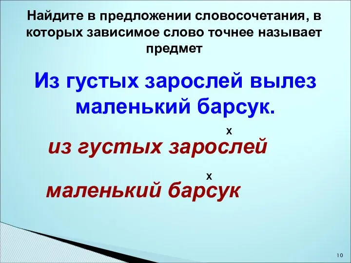 Из густых зарослей вылез маленький барсук. Найдите в предложении словосочетания, в