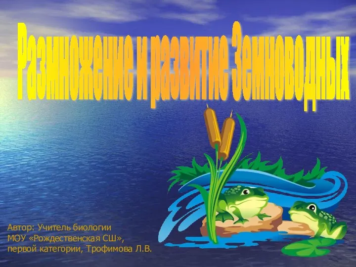 Размножение и развитие Земноводных Автор: Учитель биологии МОУ «Рождественская СШ», первой категории, Трофимова Л.В.