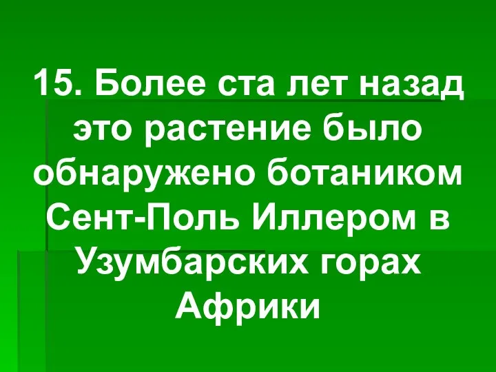 15. Более ста лет назад это растение было обнаружено ботаником Сент-Поль Иллером в Узумбарских горах Африки