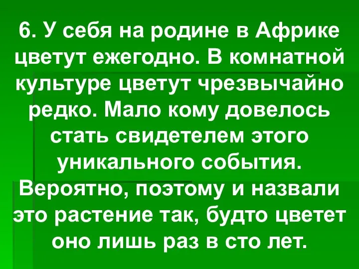 6. У себя на родине в Африке цветут ежегодно. В комнатной