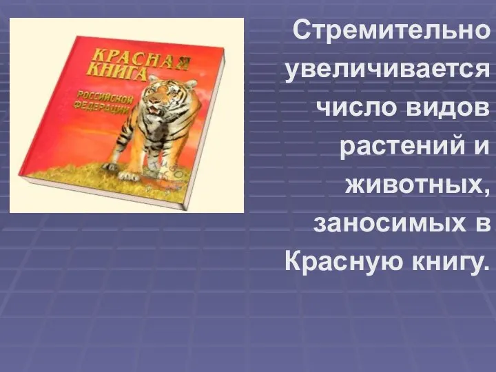 Стремительно увеличивается число видов растений и животных, заносимых в Красную книгу.