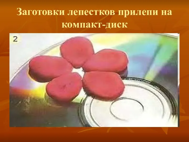 Заготовки лепестков прилепи на компакт-диск