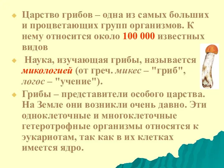 Царство грибов – одна из самых больших и процветающих групп организмов.