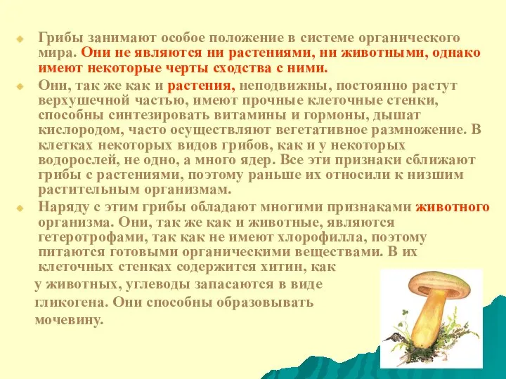 Грибы занимают особое положение в системе органического мира. Они не являются