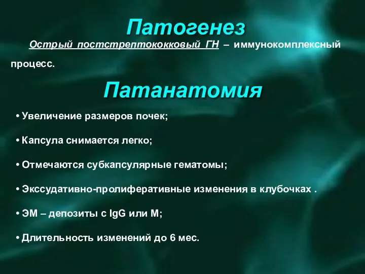 Патанатомия Увеличение размеров почек; Капсула снимается легко; Отмечаются субкапсулярные гематомы; Экссудативно-пролиферативные