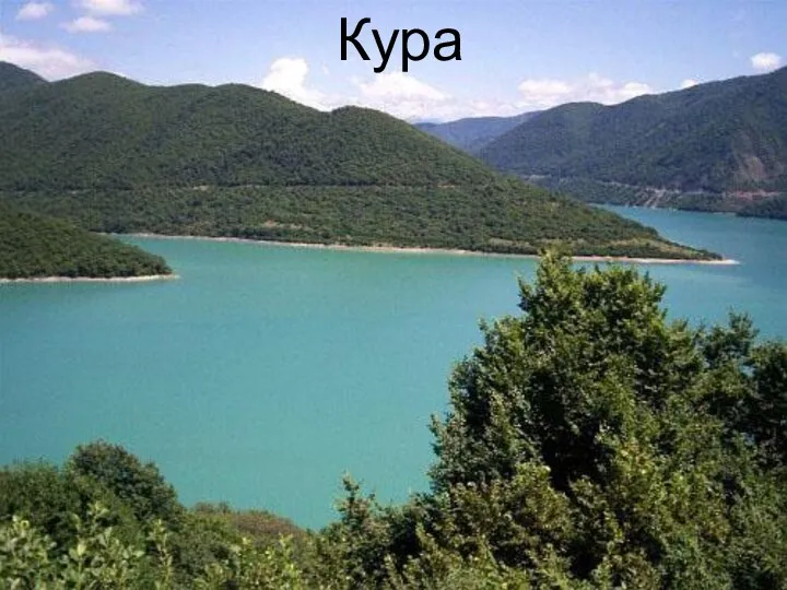 Кура