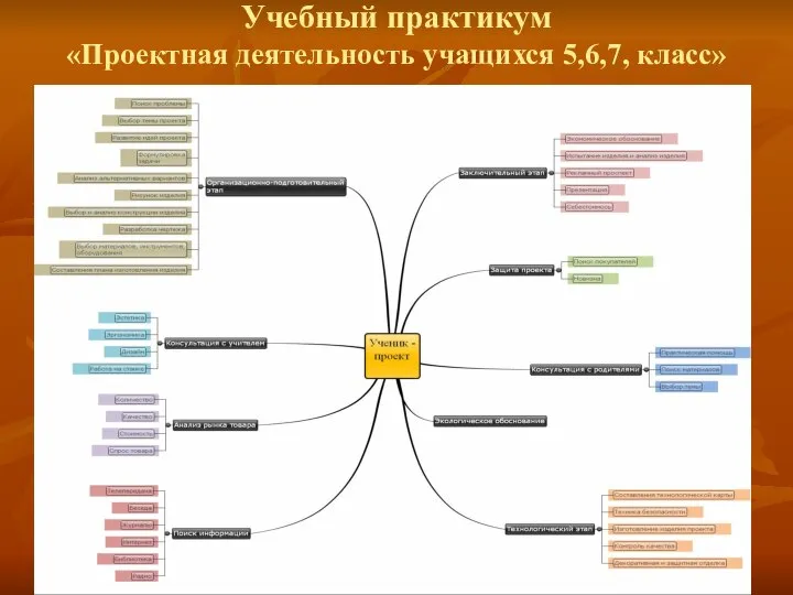 Учебный практикум «Проектная деятельность учащихся 5,6,7, класс»