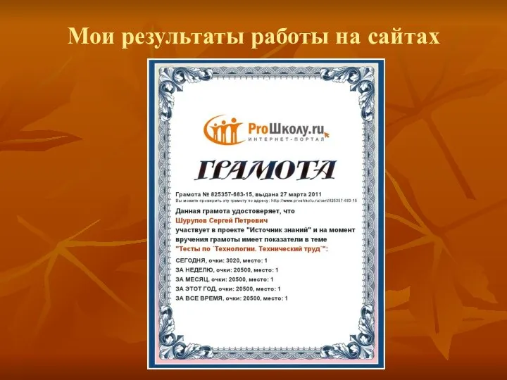 Мои результаты работы на сайтах