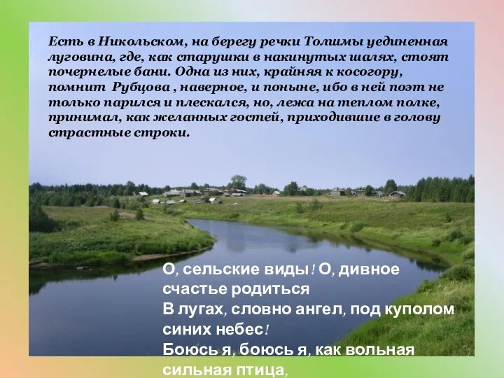 Есть в Никольском, на берегу речки Толшмы уединенная луговина, где, как