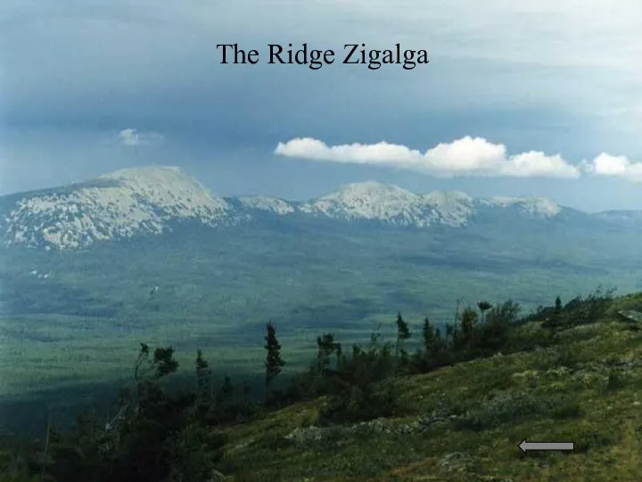 The Ridge Zigalga