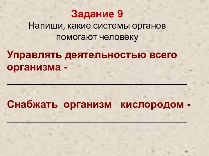 Задание 9 Напиши, какие системы органов помогают человеку Управлять деятельностью всего