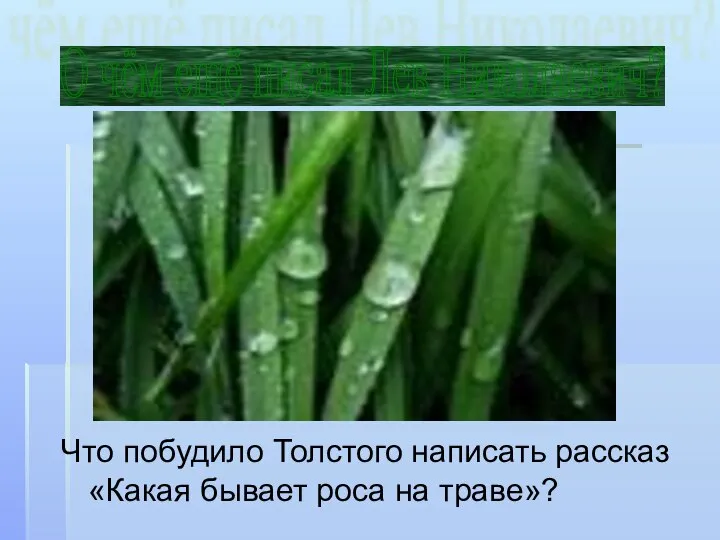 О чём ещё писал Лев Николаевич? Что побудило Толстого написать рассказ «Какая бывает роса на траве»?