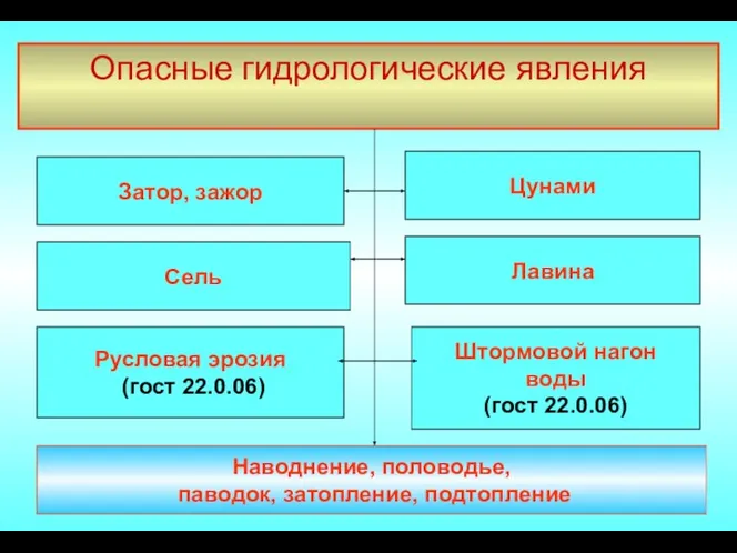 Опасные гидрологические явления Затор, зажор Сель Лавина Штормовой нагон воды (гост