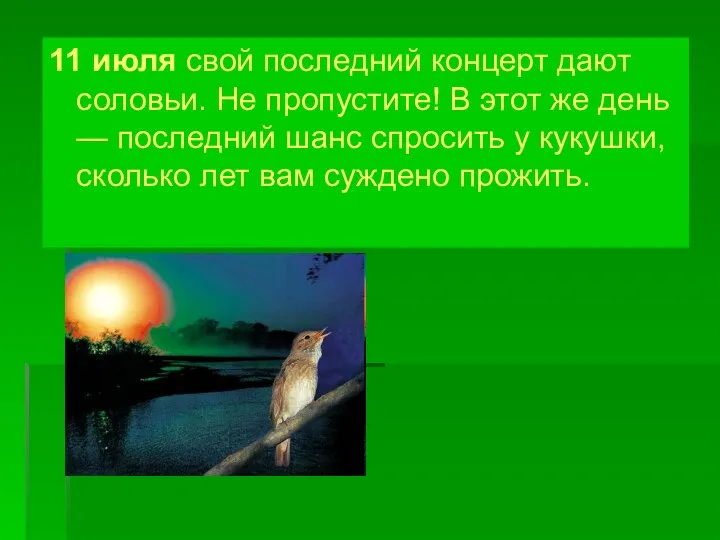 11 июля свой последний концерт дают соловьи. Не пропустите! В этот