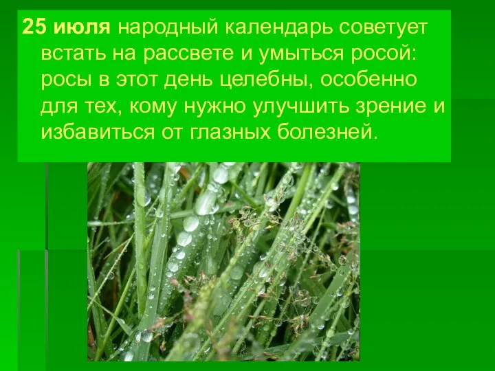 25 июля народный календарь советует встать на рассвете и умыться росой: