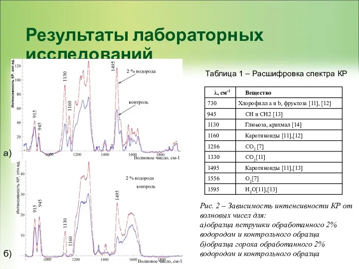 Результаты лабораторных исследований Таблица 1 – Расшифровка спектра КР Рис. 2