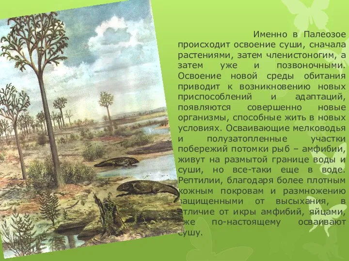 Именно в Палеозое происходит освоение суши, сначала растениями, затем членистоногим, а