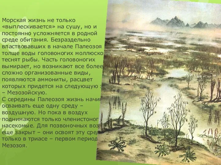 Морская жизнь не только «выплескивается» на сушу, но и постоянно усложняется